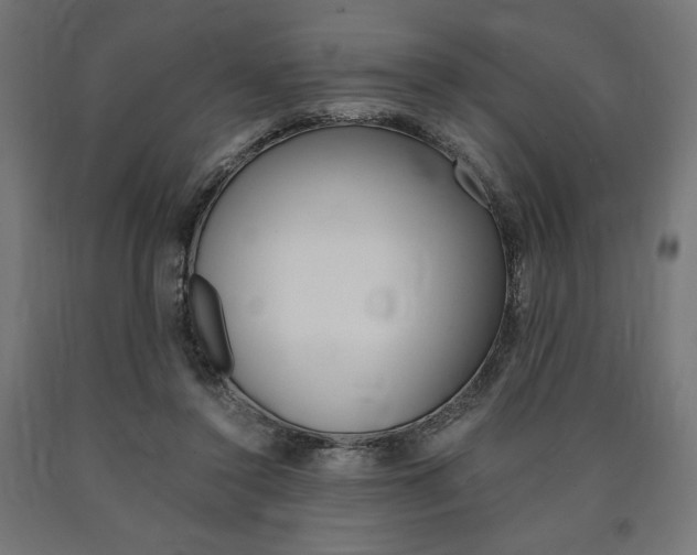 X0000091010356200708021411