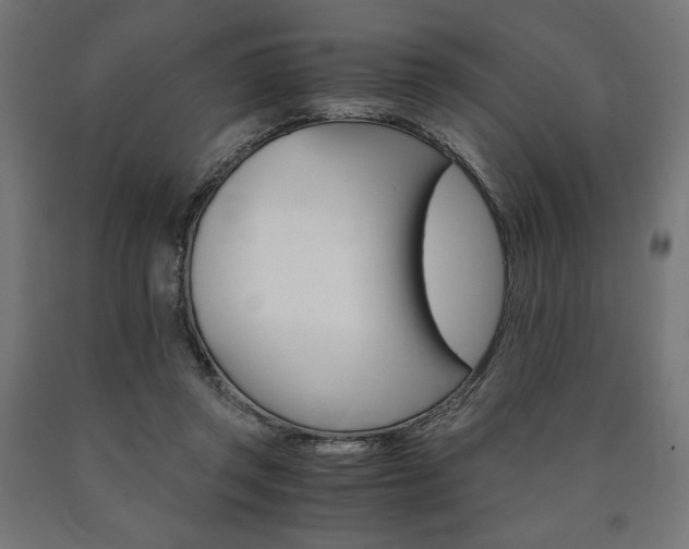 X0000091010357200708021411