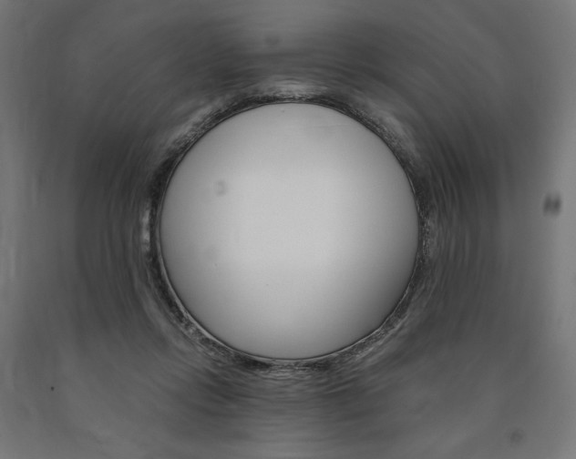 X0000091010358200708021411
