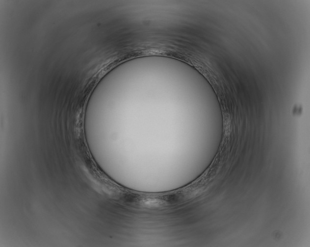 X0000091010360200708021411