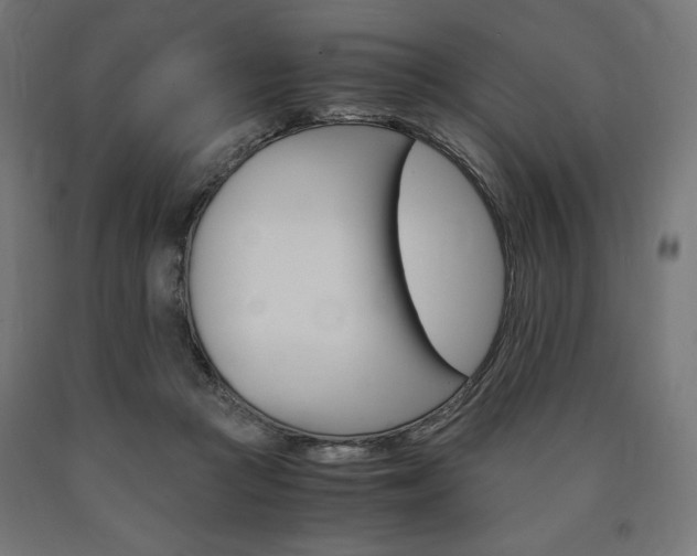 X0000091010361200708021411