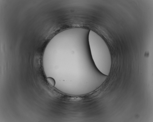 X0000091010363200708021411