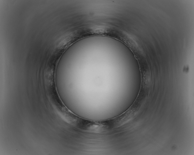 X0000091010364200708021411