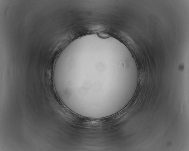 X0000091010365200708021411
