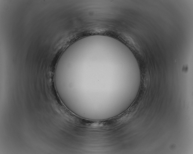 X0000091010366200708021411