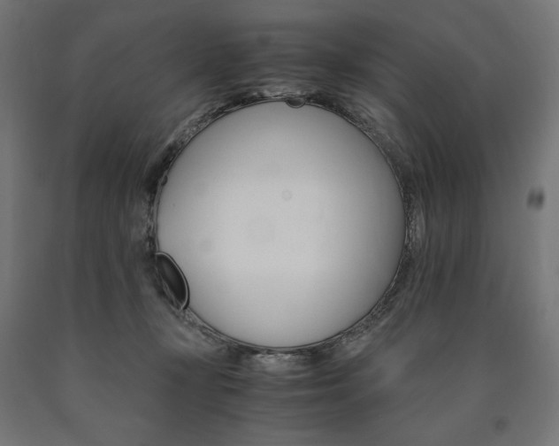 X0000091010367200708021411