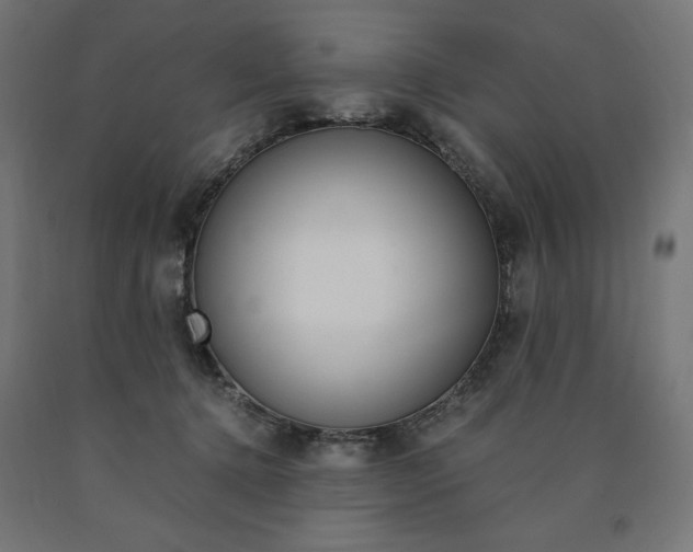 X0000091010368200708021411