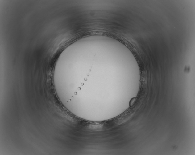X0000091010369200708021411