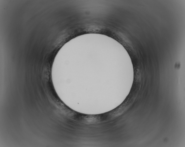 X0000091010370200708021411