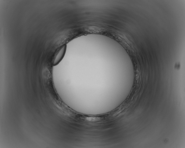 X0000091010371200708021411