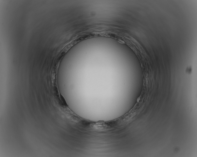 X0000091010372200708021411