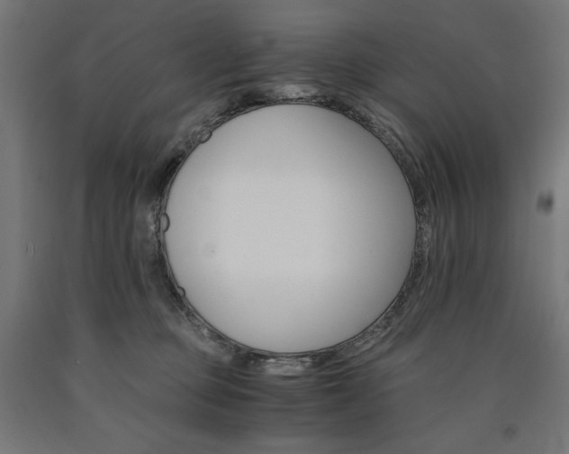 X0000091010373200708021411
