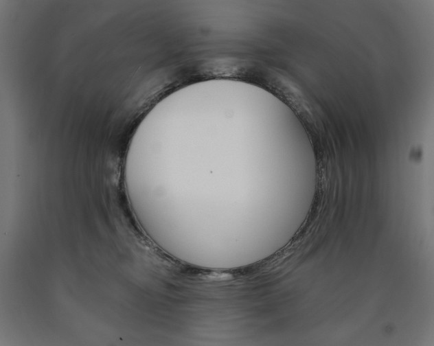 X0000091010374200708021411