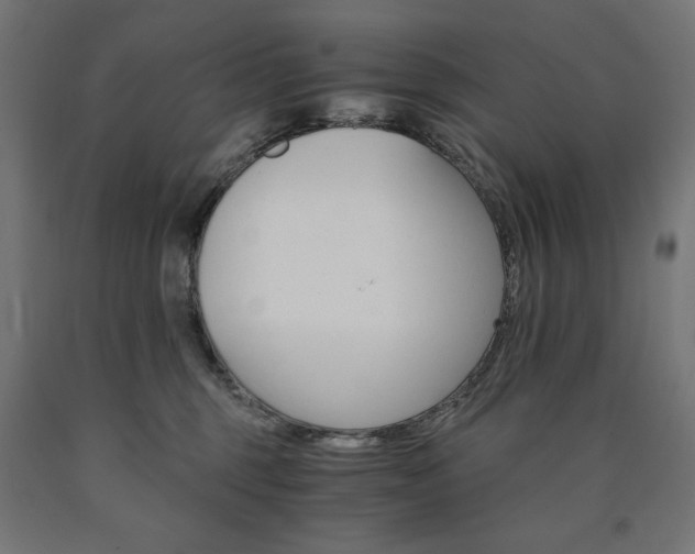 X0000091010375200708021411
