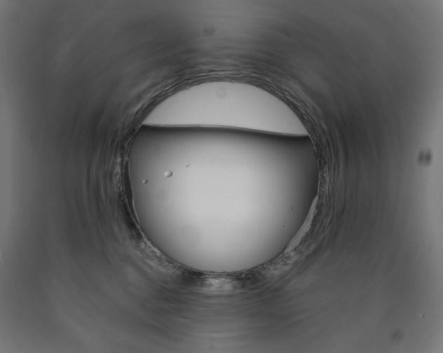 X0000091010376200708021411