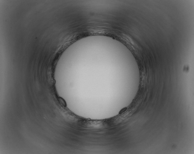 X0000091010377200708021411