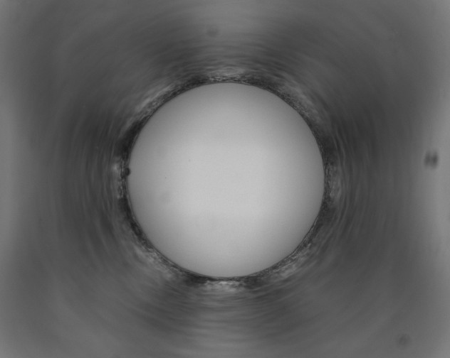 X0000091010378200708021411