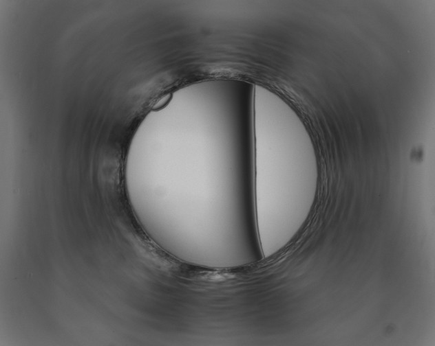 X0000091010379200708021411