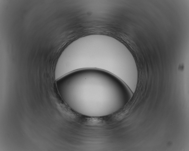 X0000091010380200708021411