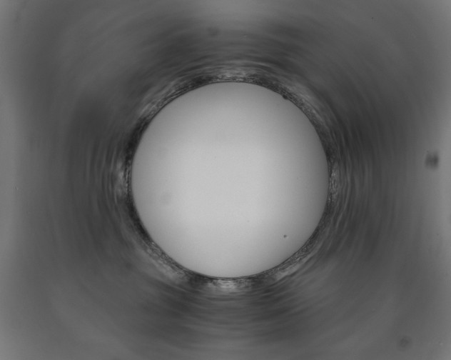 X0000091010381200708021411