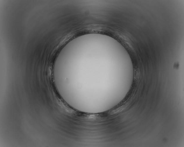X0000091010382200708021411