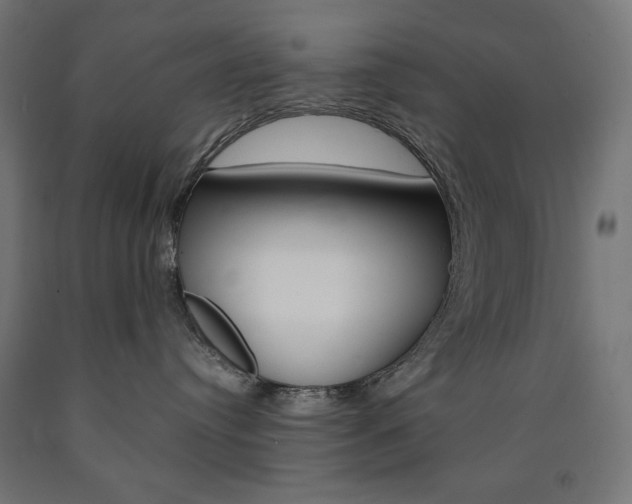 X0000091010384200708021411