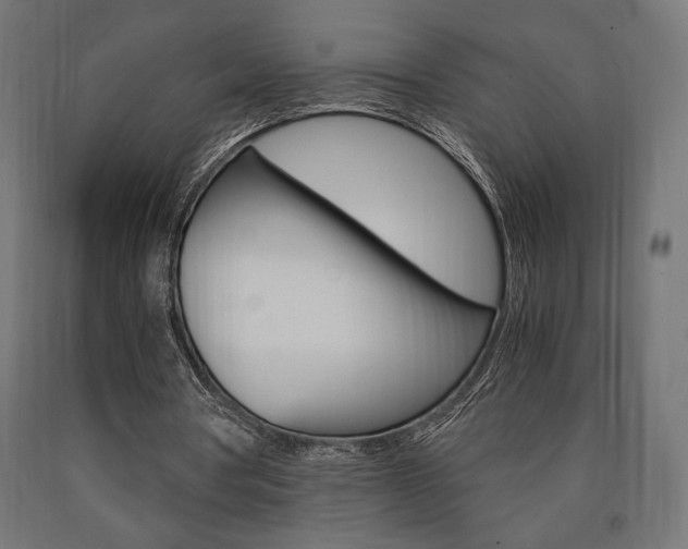 X0000091010386200708021411