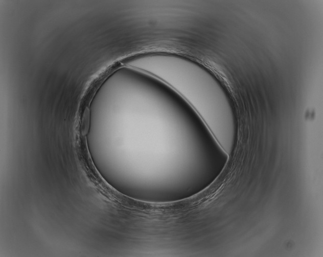 X0000091010388200708021411