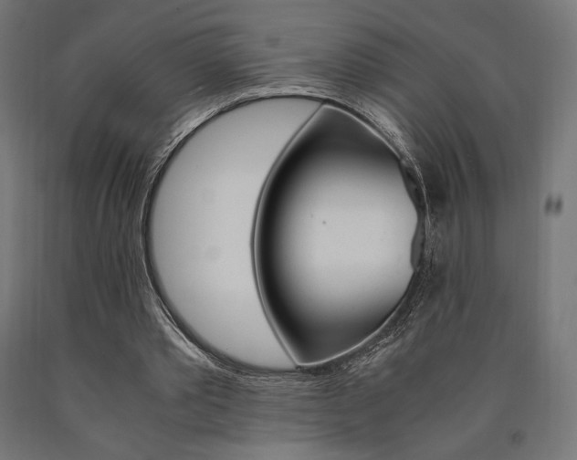 X0000091010389200708021411