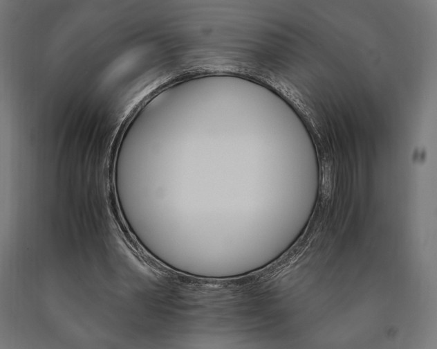 X0000091010390200708021411