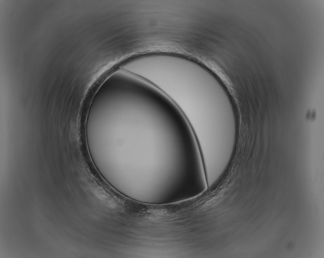X0000091010391200708021411