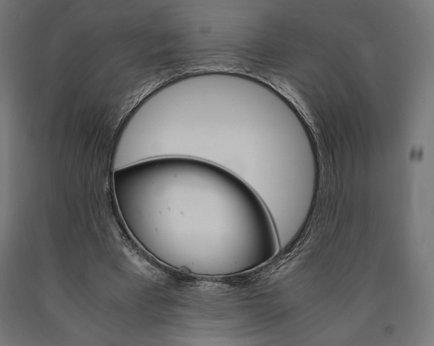 X0000091010393200708021411