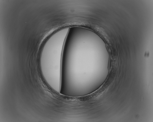 X0000091010395200708021411