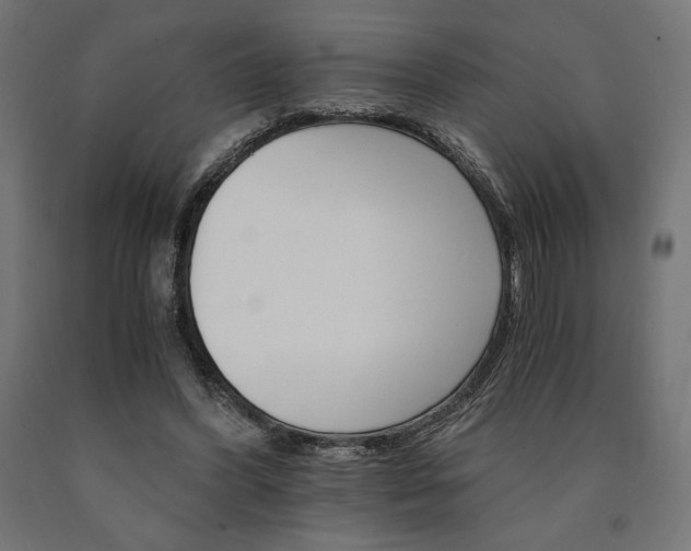 X0000091010396200708021411