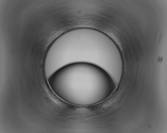 X0000091010397200708021411