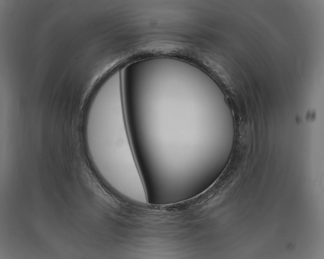 X0000091010399200708021410