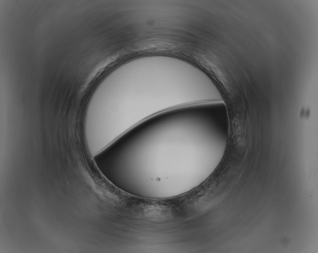 X0000091010400200708021410