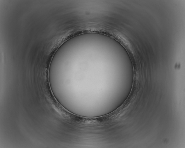 X0000091010401200708021410