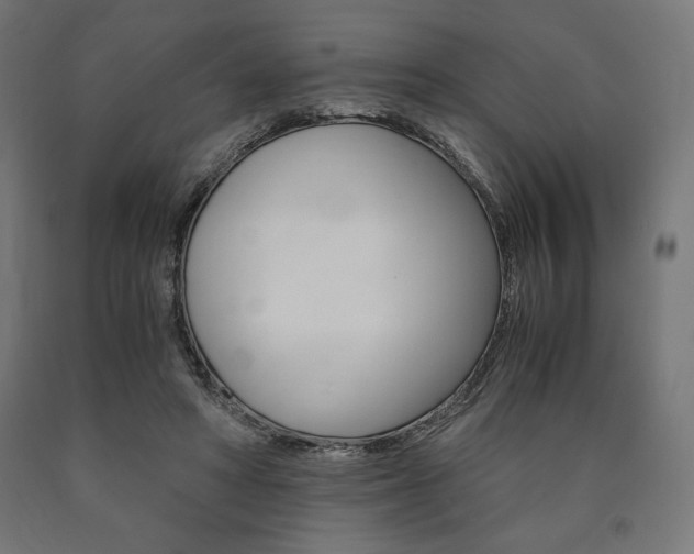 X0000091010402200708021410