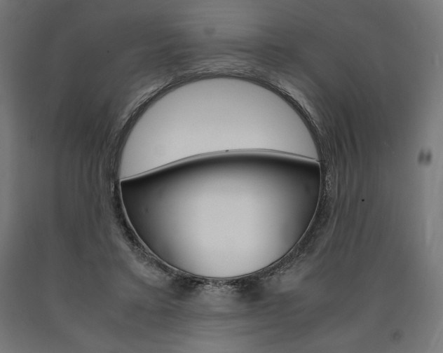 X0000091010403200708021410