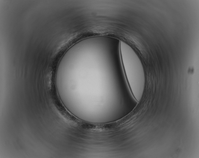 X0000091010404200708021410
