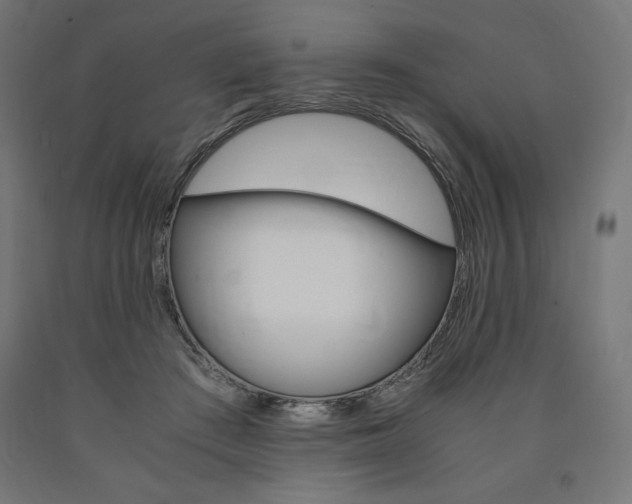 X0000091010409200708021410