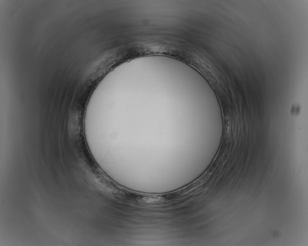 X0000091010410200708021410