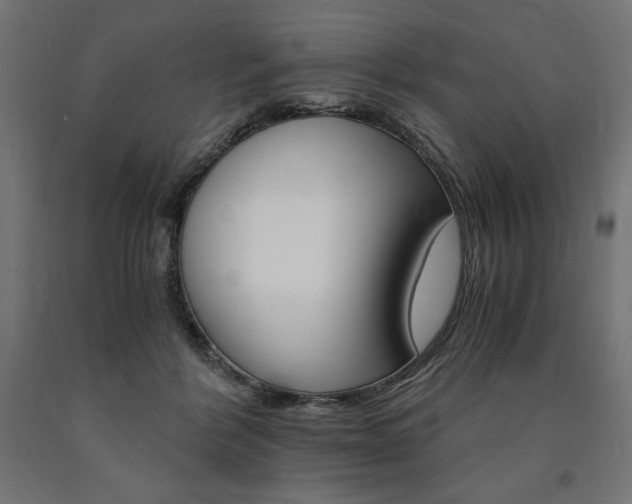 X0000091010412200708021410