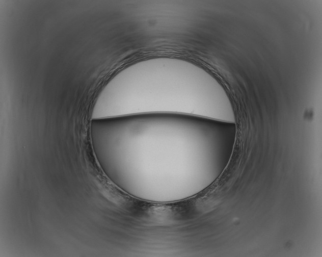 X0000091010413200708021410