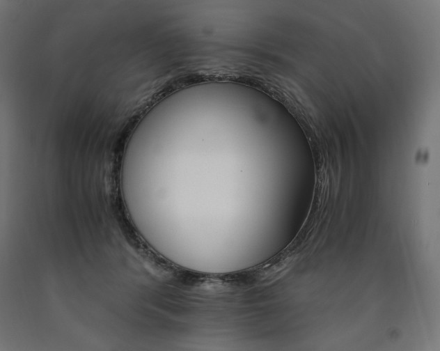 X0000091010416200708021410