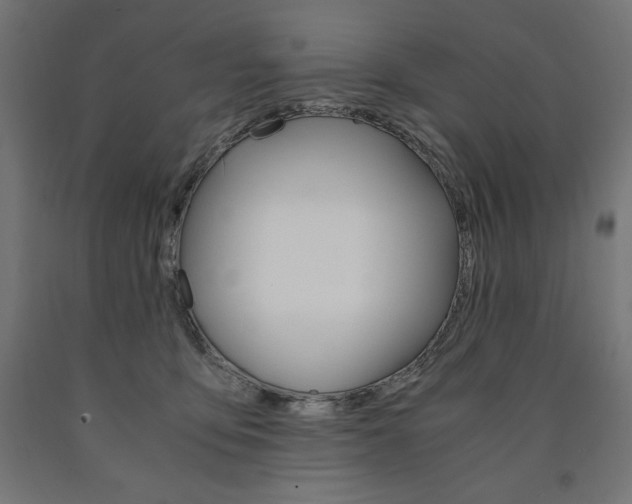 X0000091010419200708021410