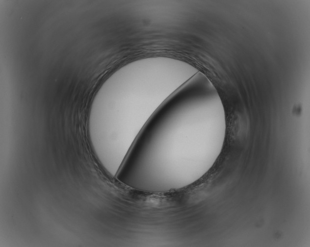 X0000091010420200708021410