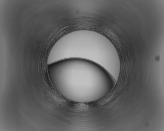 X0000091010421200708021410