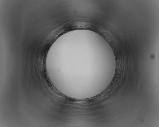 X0000091010422200708021410
